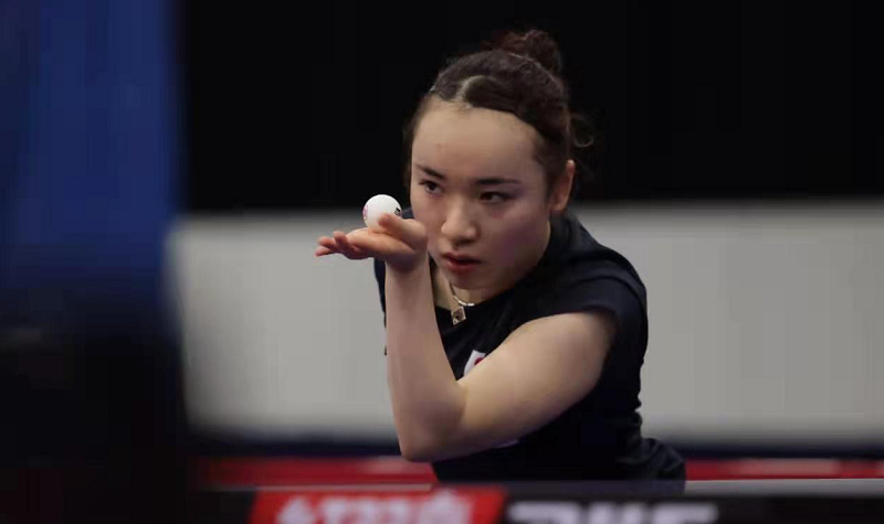 优化的长尾 优化的长尾