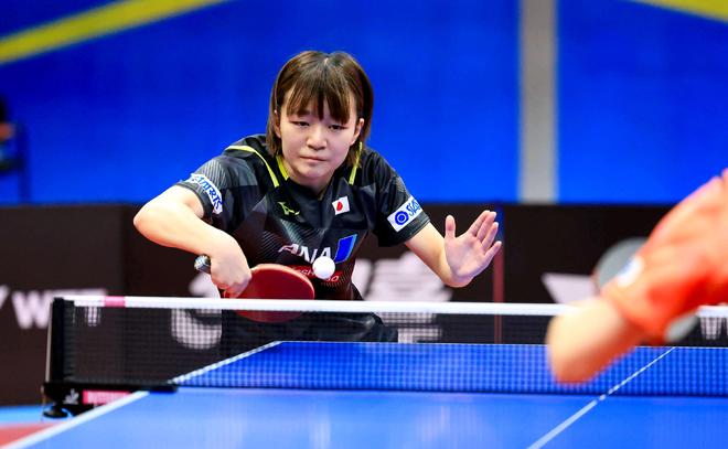 浙江东阳光 浙江东阳光